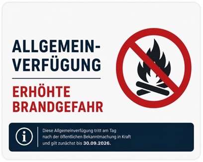 Frau sitzt am Laptop und hat ihren Ausweis in der Hand. Hinter ihr stehen Umzugskartons.